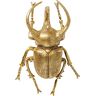 Kare Design wandsieraad Atlas Beetle goud, decoratief object kever, wanddecoratie kever goud, (H/B/D) 35,5 x 26 x 15 cm