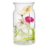 TREND FOR HOME Grote glazen vaas, hoog, 29,5 cm, bloemenvaas, grote vloervaas, glas, grote vaas, amaryllis, vaas, tulpen, ronde glazen vaas, cilinder, doorzichtig, grote vazen voor de vloer, Ø 16 cm,