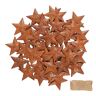 YiYa 50 stuks verroeste metalen sterren bevatten een jute touw, kleine roestige sterren, metalen knutselsterren voor Kerstmis, festival, decoratie, krans, vakantie, huisdecoratie (4,5 cm)