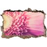 Pixxprint 3D_WD_S2063_62x42 adembenemende Gerbera bloem wanddoorbraak 3D muurtattoo, vinyl, kleurrijk, 62 x 42 x 0,02 cm