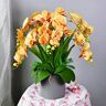 VVHUDA Decor Kunstbloemen Met Vaas Kunstzijde Phalaenopsis Bloemen Vlinder Orchidee Met Vaas Set Nep Plant Bruiloft Decoratie Faux Bloemen Arrangementen Ornamenten kleine gift