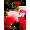 HGD votief-glas 'Rose'' groot, was, roodachtig