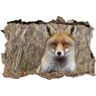 Pixxprint 3D_WD_S1138_62x42 trotse vos tegen herfstststenen muurdoorbraak 3D muurtattoo, vinyl, kleurrijk, 62 x 42 x 0,02 cm