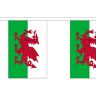 Vlaggenclub.nl Vlaggenlijn Wales - 3 meter   Stof