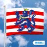 Vlaggenclub.nl Vlag Brugge 200x300cm