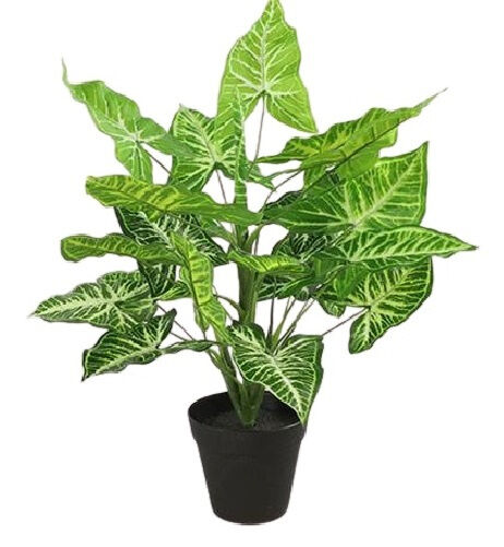 Countryfield kunstplant Calathea L 40 x 45 cm zijde groen/zwart - Groen,Zwart