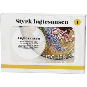 Fischer Pure Nature Styrk Lugtesansen Kit 1, 4 X10 Ml Æteriske Olier Eucaluptus Ø, Origanum, Ingefær, Cedertræ - 1 Pakke