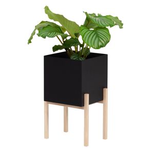 Design House Botanic Pedestal Pot Black / Ash