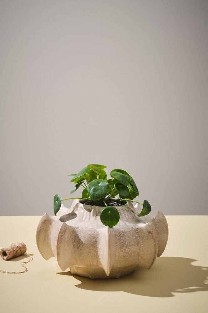 ROGUE vase/potte - høyde 21 cm Beige