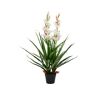 Vidaxl Planta orquídea cymbidium artificial com vaso 100 cm verde
