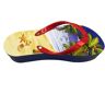 Silver Crane Lata Chinelo Flip Flop Dolphins-001.312-