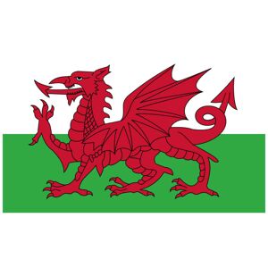Flagga   Wales 150*90 cmOne-SizeVit/Grön/Röd Vit/Grön/Röd