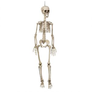 Skelett hängande 90 cm