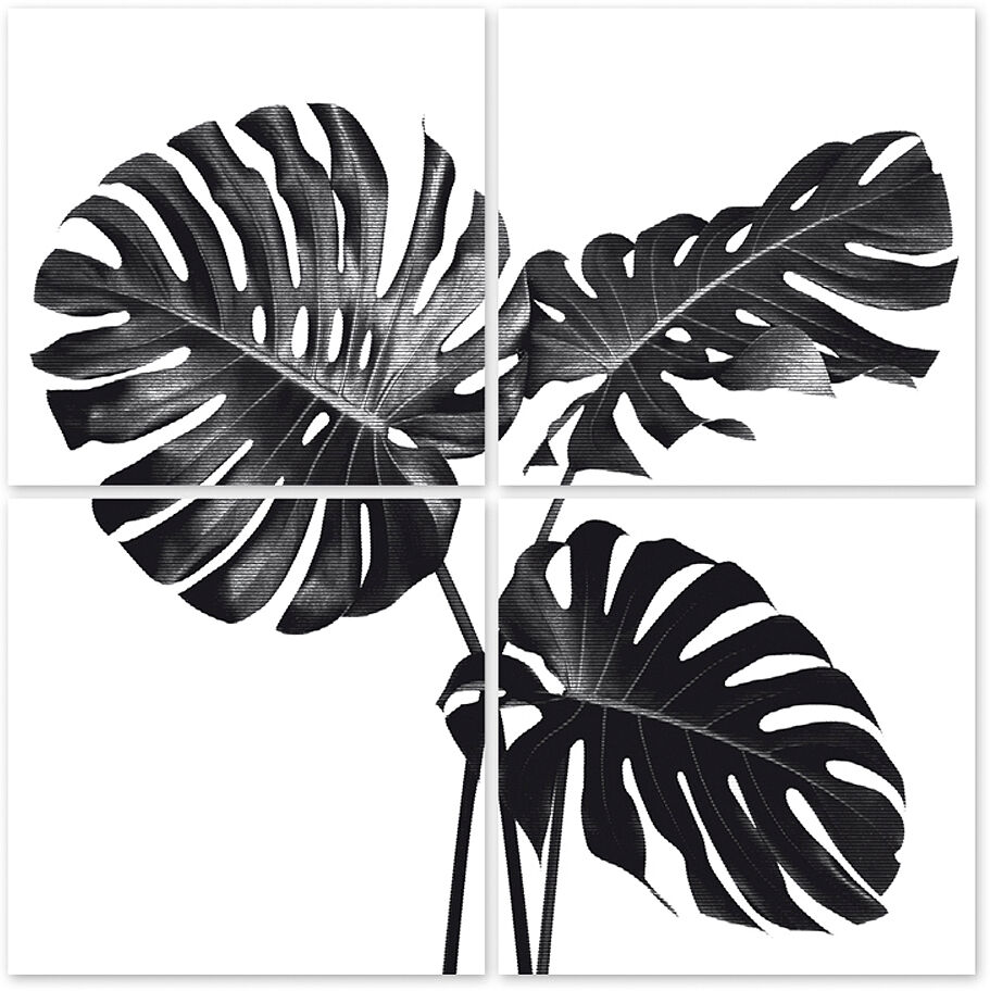 Boubouki Kakeldekor Monstera 15x15 cm 4-pack Vit