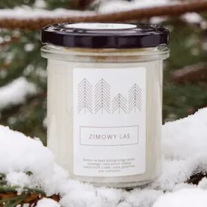 hagi Winter Forest Soy Candle 230g