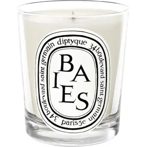 Diptyque - Baies Scented Candle (190g)