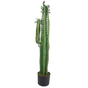 The Seasonal Aisle Floor Cactus Plant in Planter 100.0 H x 20.0 W x 20.0 D cm