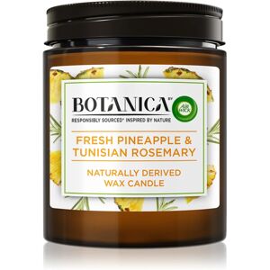 Air Wick Botanica Fresh Pineapple & Tunisian Rosemary scented candle 205 g