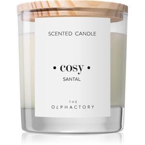 Ambientair The Olphactory Santal scented candle (Cosy) 200 g