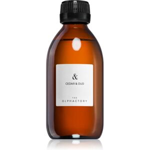 Ambientair The Olphactory Cedar & Oud aroma diffuser 250 ml