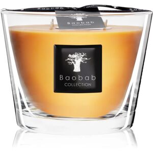 Baobab Collection All Seasons Zanzibar Spices scented candle 10 cm