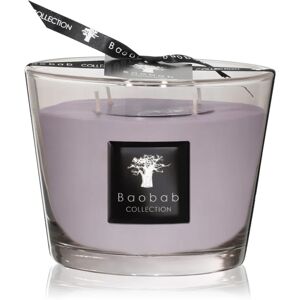 Baobab Collection All Seasons White Rhino scented candle 10 cm
