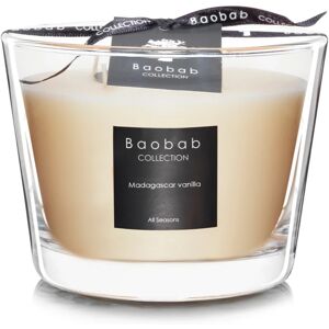 Baobab Collection All Seasons Madagascar Vanilla scented candle 10 cm