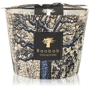 Baobab Collection Sacred Trees Seguela scented candle 10 cm