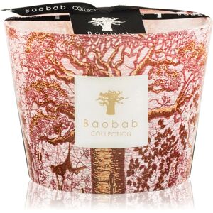 Baobab Collection Sacred Trees Woroba scented candle 10 cm