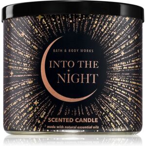 Bath & Body Works Into The Night scented candle 411 g