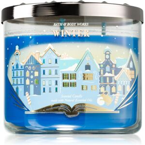 Bath & Body Works Winter scented candle 411 g