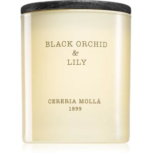 Cereria Mollá Boutique Black Orchid & Lily scented candle 230 g