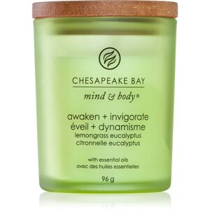 Chesapeake Bay Candle Mind & Body Awaken & Invigorate scented candle 96 g