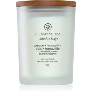 Chesapeake Bay Candle Mind & Body Peace & Tranquility scented candle 250 g