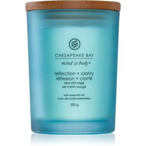 Chesapeake Bay Candle Mind & Body Reflection & Clarity scented candle 250 g
