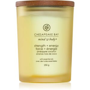 Chesapeake Bay Candle Mind & Body Strength & Energy scented candle 250 g