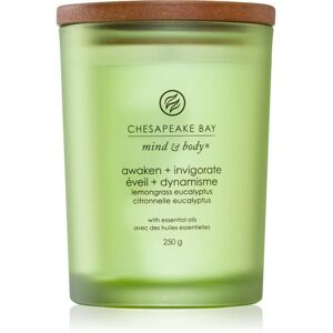 Chesapeake Bay Candle Mind & Body Awaken & Invigorate scented candle 250 g