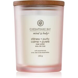 Chesapeake Bay Candle Mind & Body Stillness & Purity scented candle 250 g