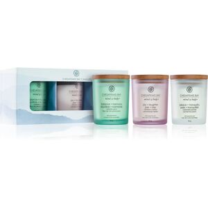 Chesapeake Bay Candle Mind & Body Wellness gift set