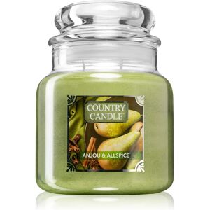 Country Candle Anjou & Allspice scented candle small 453 g