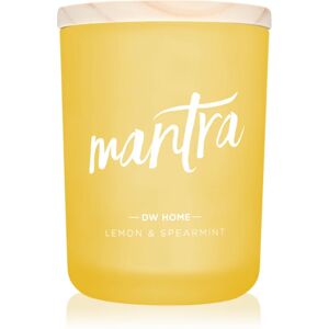 DW Home Zen Mantra scented candle 428 g