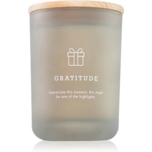 DW Home Hygge Gratitude scented candle 210 g