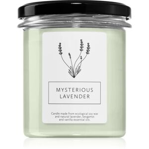 Hagi Mysterious Lavender scented candle 230 g