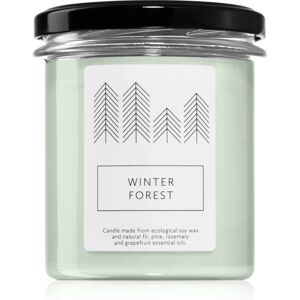 Hagi Winter Forest scented candle 230 g