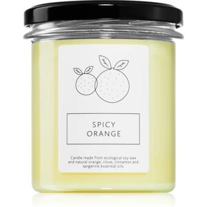 Hagi Spicy Orange scented candle 230 g