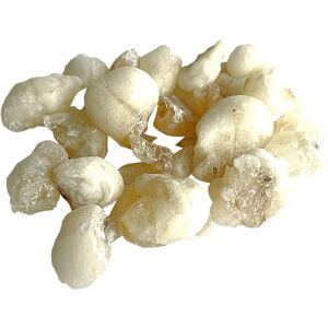 Jungle Way Oman Hojari White Royal frankincense 20 g