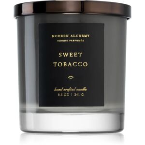 DW Home Modern Alchemy Sweet Tobacco scented candle 241 g