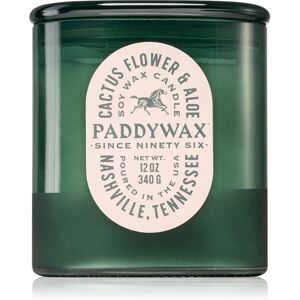 Paddywax Vista Cactus Flower & Aloe scented candle 340 g