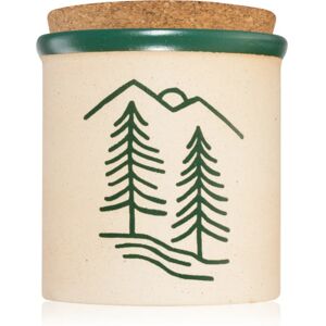 Paddywax Cypress & Fir Dune scented candle green 226 g