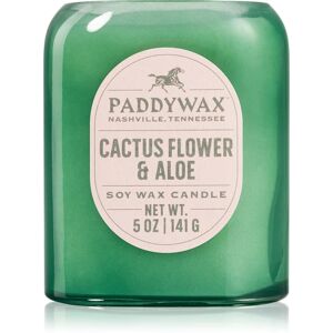 Paddywax Vista Cactus Flower & Aloe scented candle 142 g